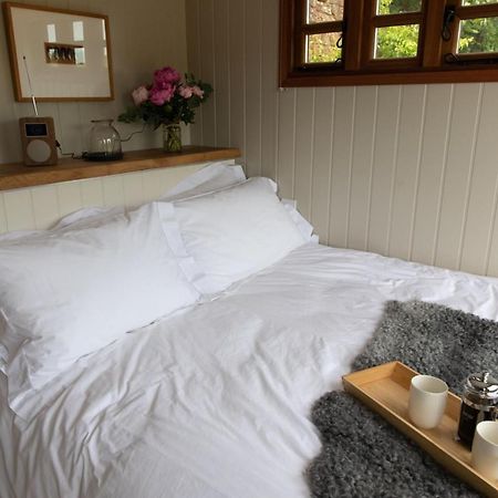 Luxury, Rural Shepherds Hut With Hot Tub Nr Bath Μπρίστολ Εξωτερικό φωτογραφία